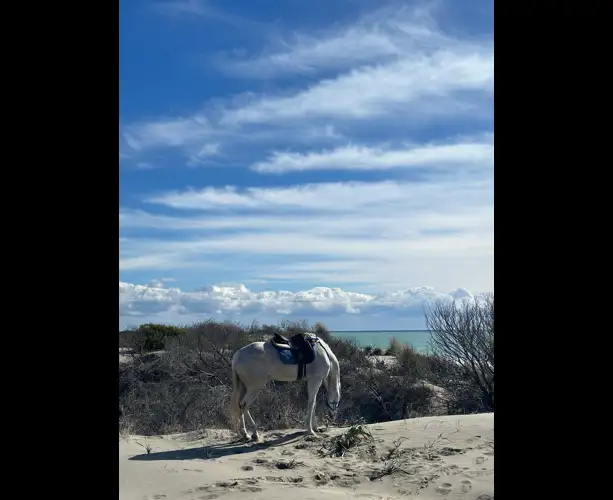 WhatsApp Image 2025-07-10 at 15.25.35.jpeg